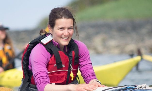 Taking an Art Walk on the wild side