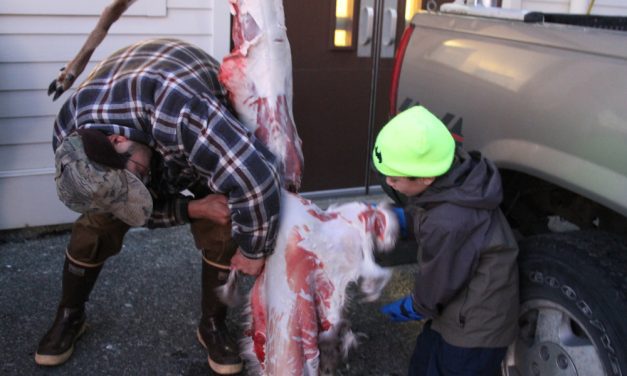 The CorvidEYE: 4-H students learn to process a deer