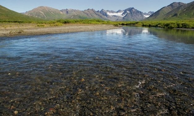 Sitka AC backs Roadless resolution, AFN ‘climate emergency’
