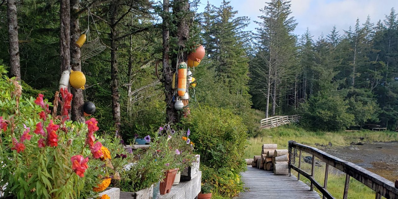 Election Information: Port Alexander