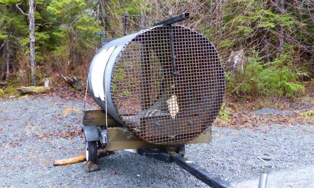 After second dog fatality, state to eliminate problem bear