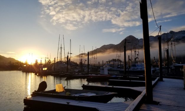 2022 Community Elections: Pelican