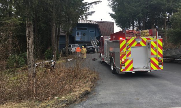 Teddy bear unharmed in Edgecumbe Drive garage fire