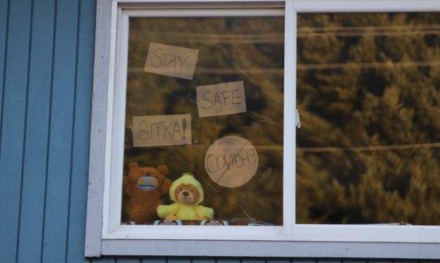 Teddy bear season opens in Sitka, no license required