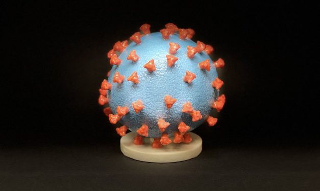 Traveling in the shadow of pandemic: How a slow national response leaves a Sitka woman and her community at risk