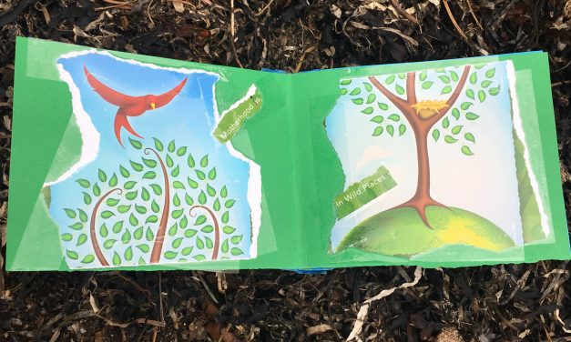 Sitka zine workshop helps artists ‘feel the madness’ in climate change