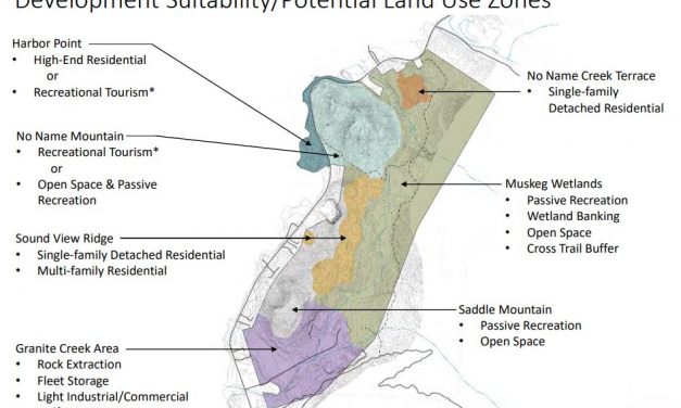 Tourism, housing, industry proposed for No Name Mountain area