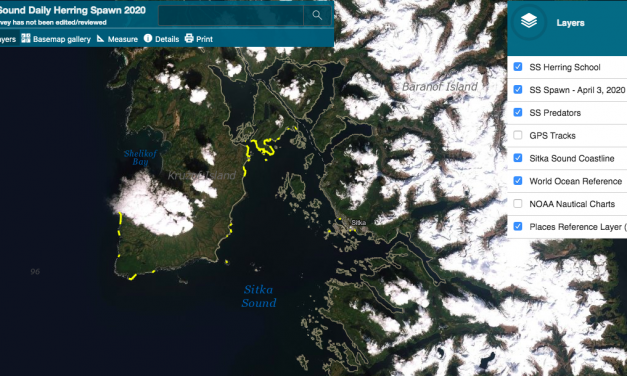 Herring spawn enters the digital age with interactive mapping