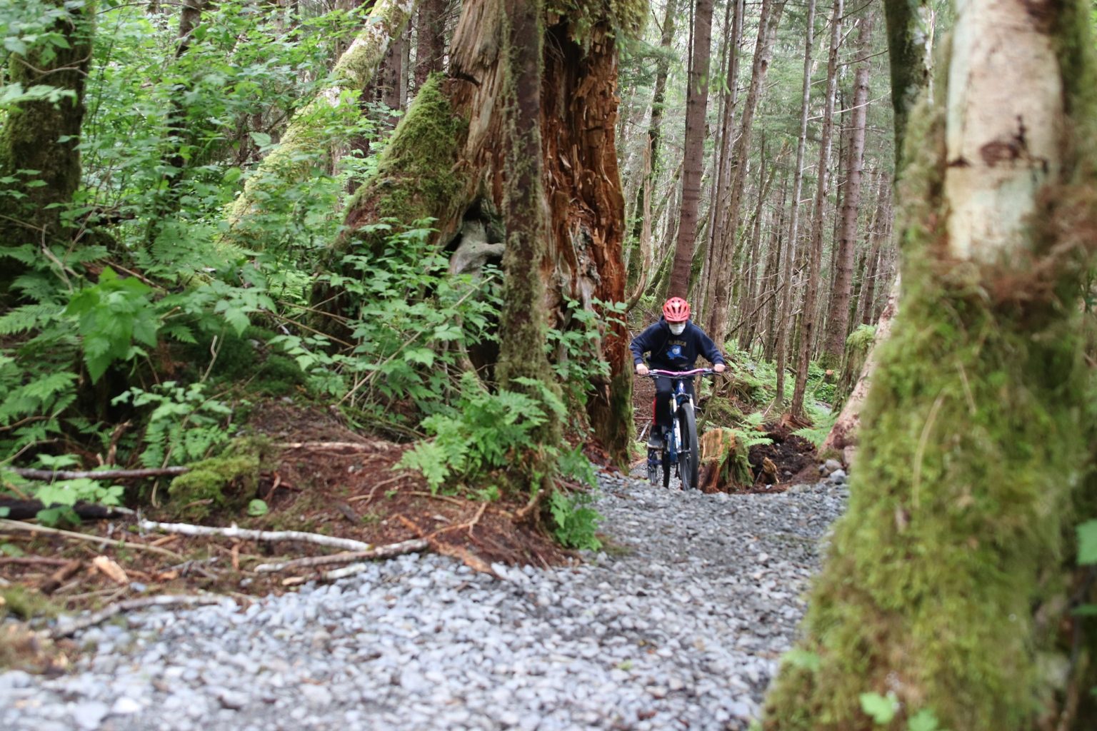 New single track mountain biking trail comes to Sitka KCAW
