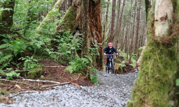 New single track mountain biking trail comes to Sitka