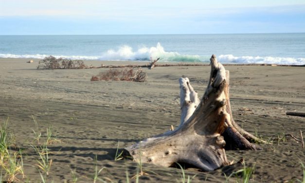 Yakutat coronavirus case count rises to six