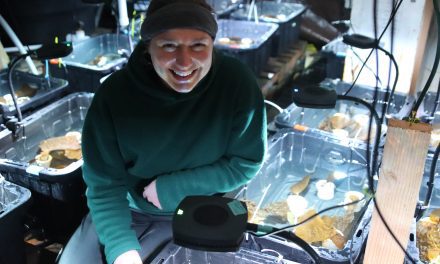 Researcher examines future effects of climate change on Sitka’s herring