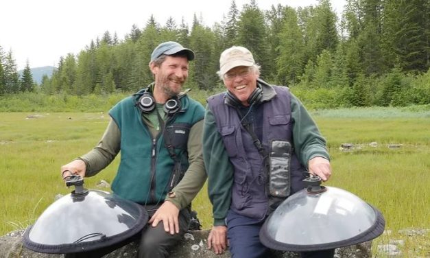 Writing ‘Raven’s Witness’: What to leave out?