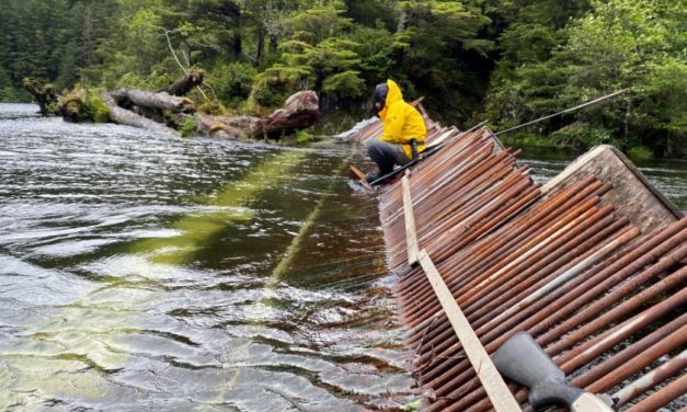 Quarterly update on Sitka Forest Service’s fall and winter plans