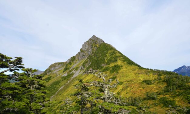 Sitka Trail Works offers full schedule of summer hikes