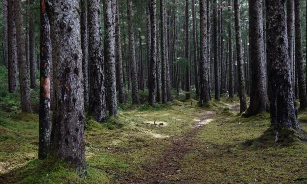 Local fish and game advisory committee speaks out about climate change