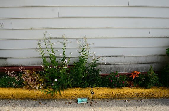 Sitka adopts new CDC community risk levels, triggering mask mandate expiration