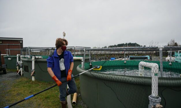 Opening in a pandemic, Outer Coast’s remote location offers college students an alternative, in-person education