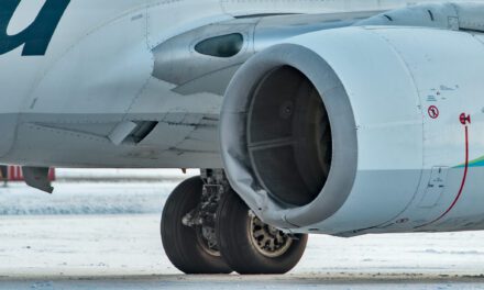 Alaska Airlines jet kills brown bear at Yakutat’s airport
