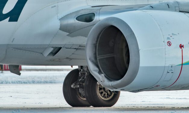 Alaska Airlines jet kills brown bear at Yakutat’s airport