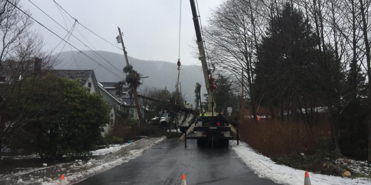 Downed tree on Jeff Davis Street causes power outage