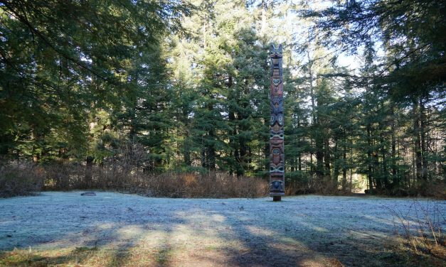 Researchers confirm location of 200-year-old Kiks.ádi fort