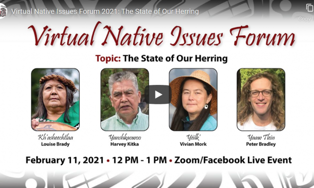 Herring Protectors discuss state and future of fish in virtual forum