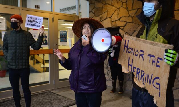 ‘Herring Protectors’ gather at Sitka’s courthouse as commercial fishery gears up