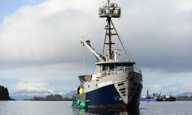 Herring fishery remained on two-hour notice this week