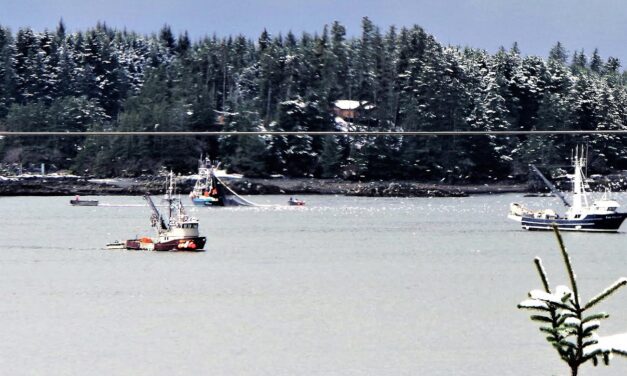 Herring fishery exceeds 13,000 tons, now open daily