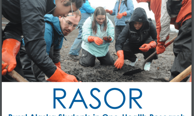 Students from UAS RASOR program present research