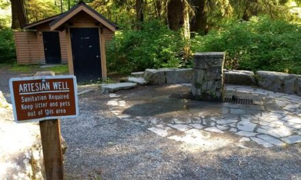 Forest Service probes low flow problems at Starrigavan well