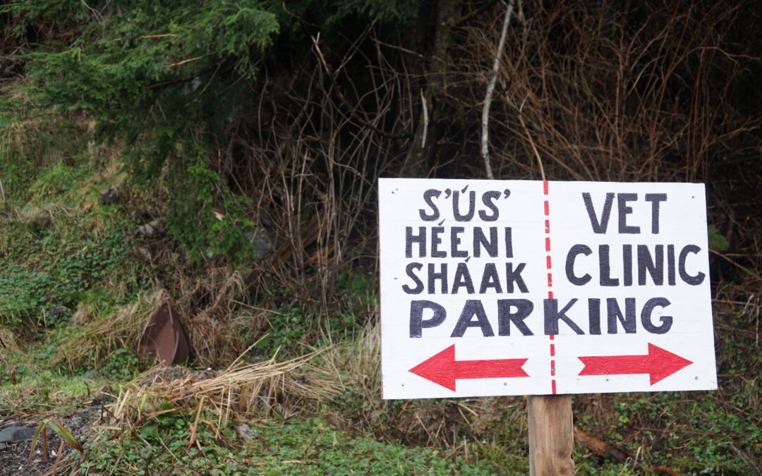 A Q&A with Sitka Community Land Trust Co-Executive Directors Mim McConnell and Randy Hughey