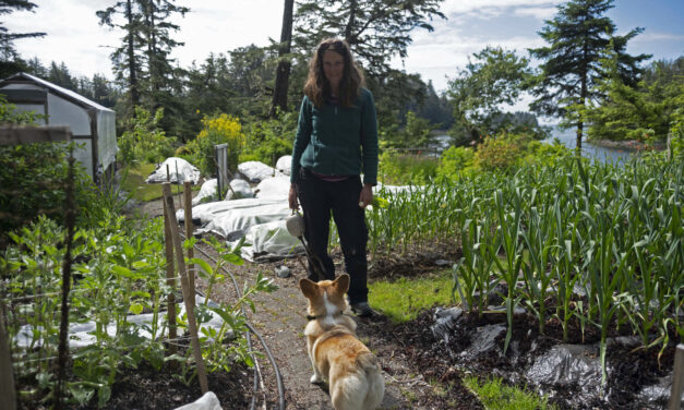 At Middle Island Gardens, one couple is fortifying Sitka’s food web, one kale plant at a time