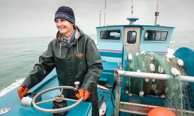 Skipper Science app hopes to bridge gap between fishermen and scientists