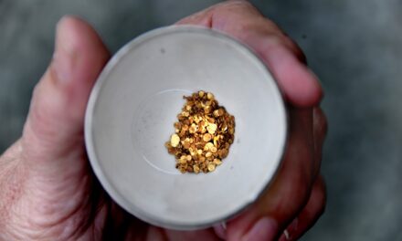 Federal fisheries officials raise concern over Kensington Mine expansion