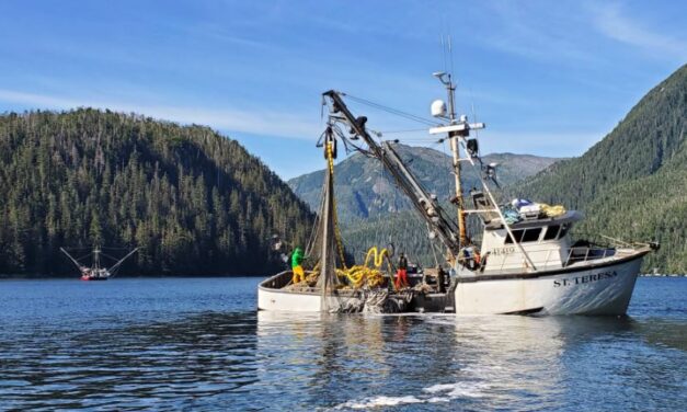 Record hatchery chum harvest an unexpected payday for Sitka Sound trollers
