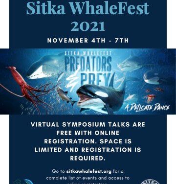 Jay Stilwell of Sitka Sound Science Center discusses 25th annual Sitka WhaleFest