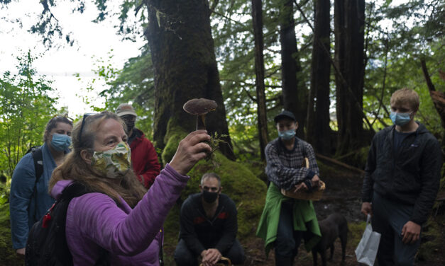 In spite of soggy summer, Sitkans gather ‘LaBounty-ful’ mushroom crop during foraging class