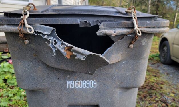 The three bears killed at Sitka’s waste transfer station likely won’t be the season’s last, officials say