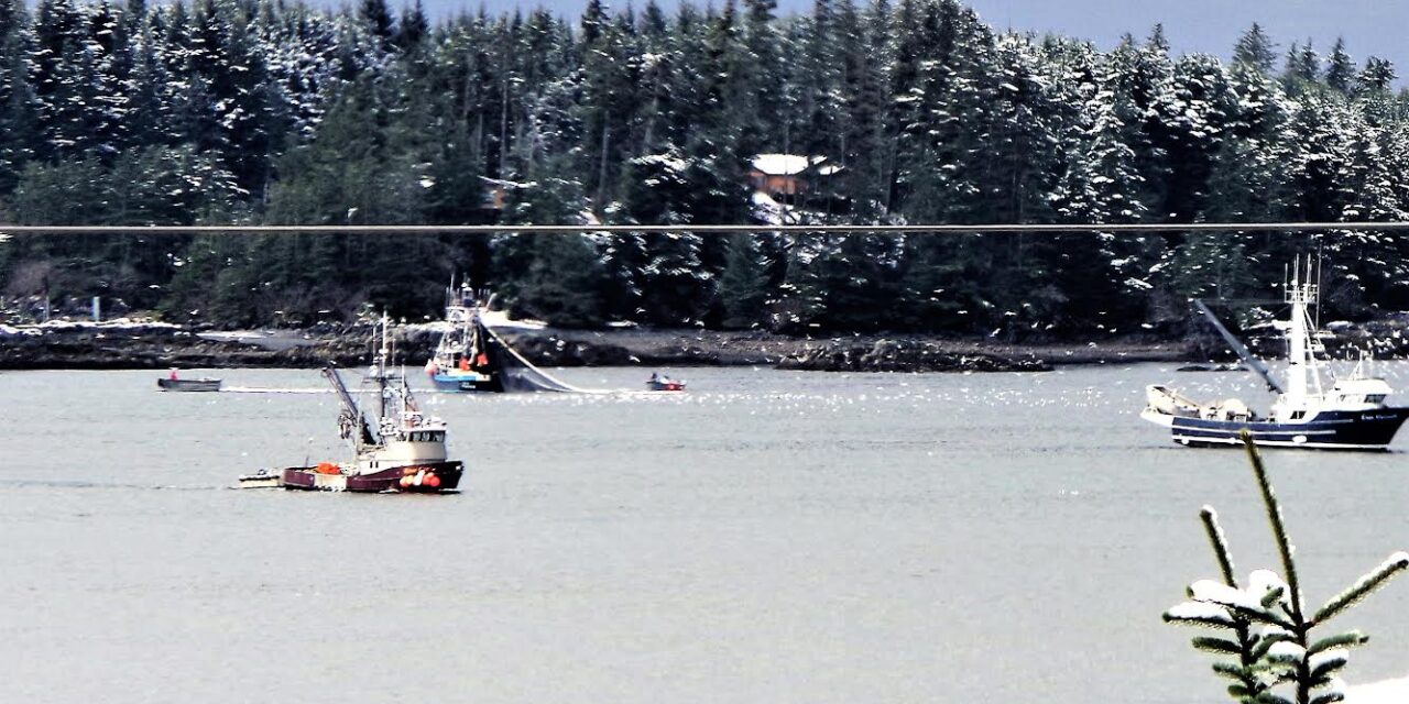 Sac roe fishery will go on two-hour notice Wednesday