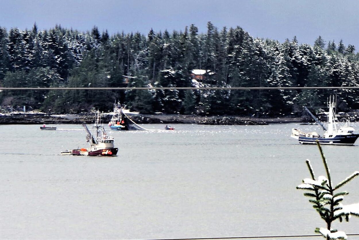 On split vote, local ADF&G advisory committee rejects Sitka Tribe's ...