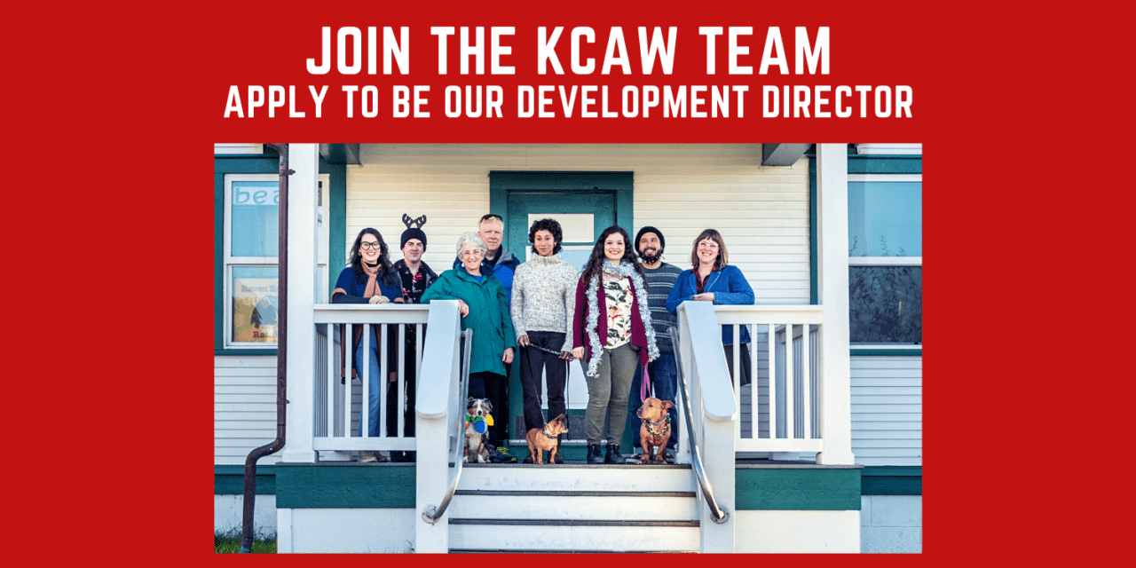 Job Opportunity: Development Director