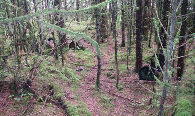Sitka’s abandoned Fort Babcock to be scrubbed of PCB pollution