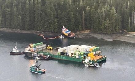 As oil spill cleanup continues, ADF&G looks at impact on nearby herring fishery