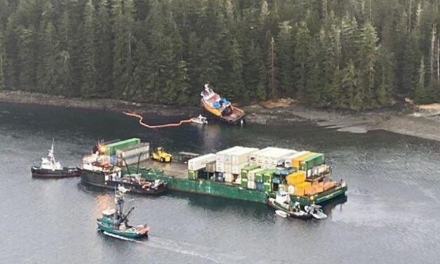 As oil spill cleanup continues, ADF&G looks at impact on nearby herring fishery