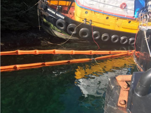 Seafood safety advisory issued following diesel spill in Neva Strait