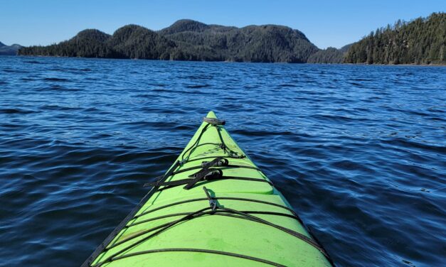 After 30 minutes in the ocean, Sitka kayaker rescued by good Samaritan walking her dog
