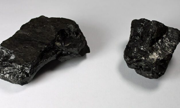 New organization ‘Transition Sitka’ to examine life ‘after fossil fuels’