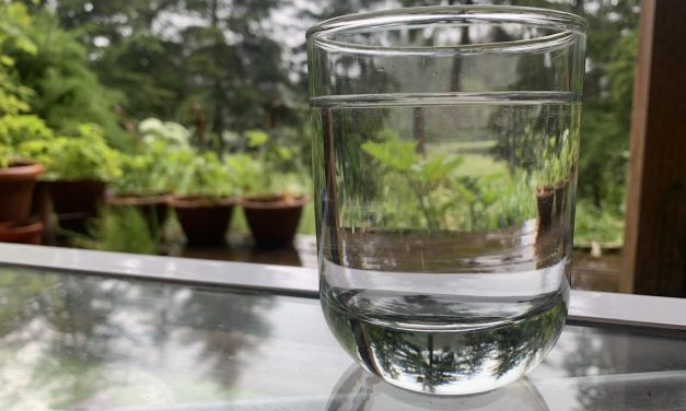 Sitka’s water scores second place in national taste competition
